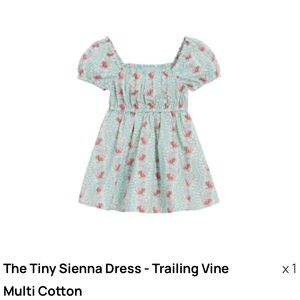 Hill House Home Tiny Sierra Dress Trailing Vine NWT
